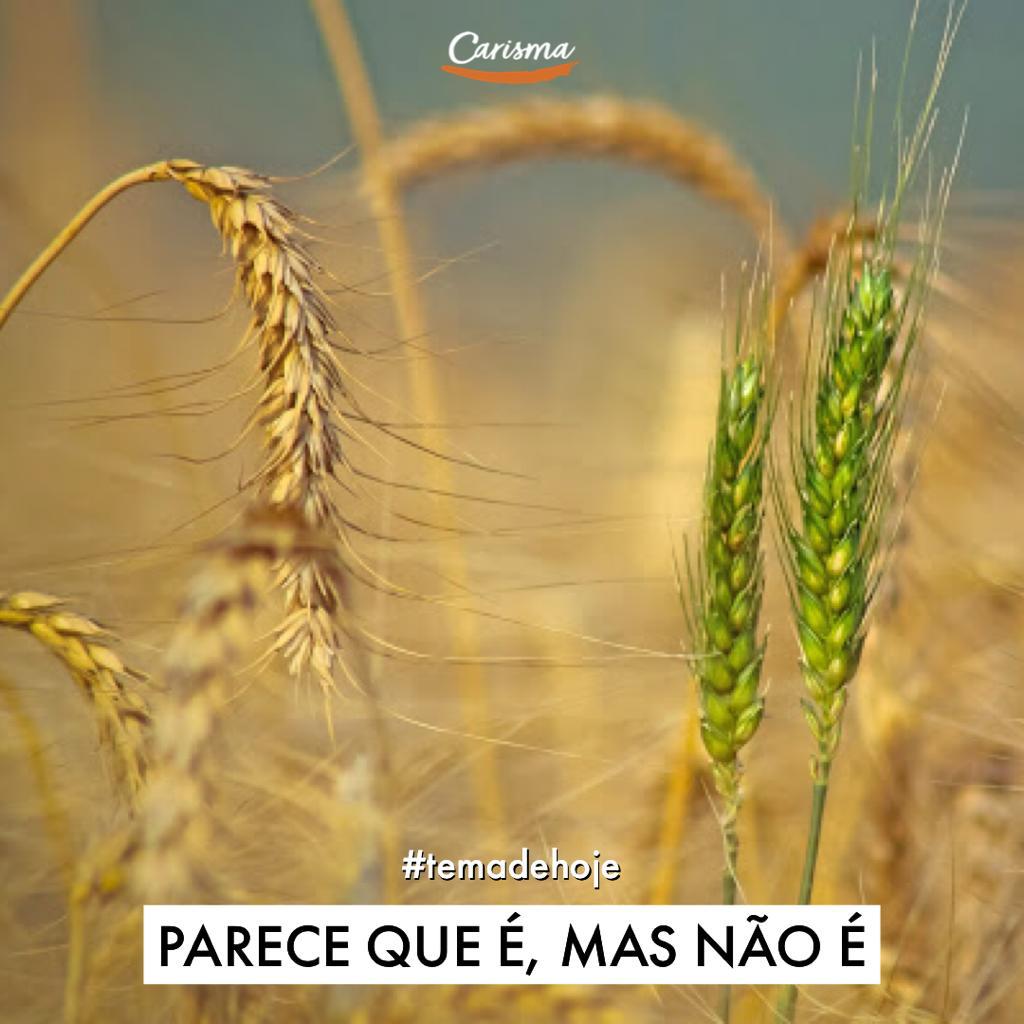 Podcast Carisma Guaratinguetá